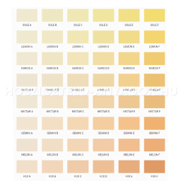 Revco Exterior kültéri falfesték szilikon /2,5l/